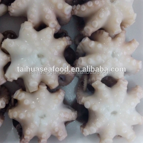 Frozen seafood octopus whole round export