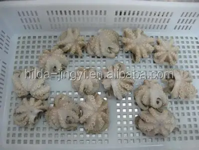 Octopus Frozen Baby Octopus Frozen Wholesale Frozen Baby Octopus