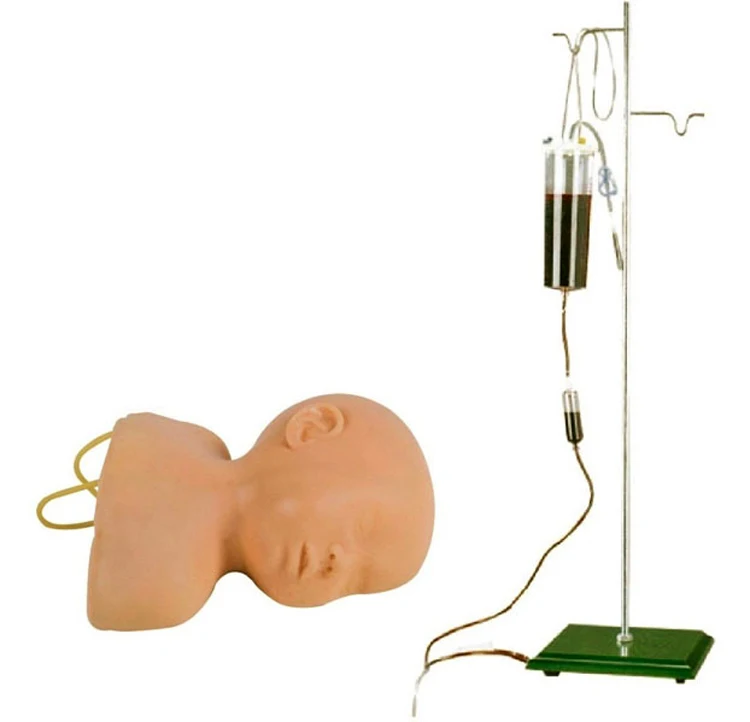 Neonatal Scalp Venipuncture Training Model, Venous Infusion Training Head