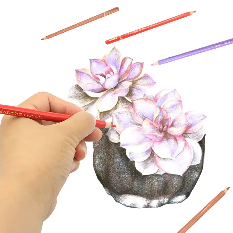 Top Quality 48 Assorted Colors Soft Cores Oil based Lead Colored Pencil For Coloring
