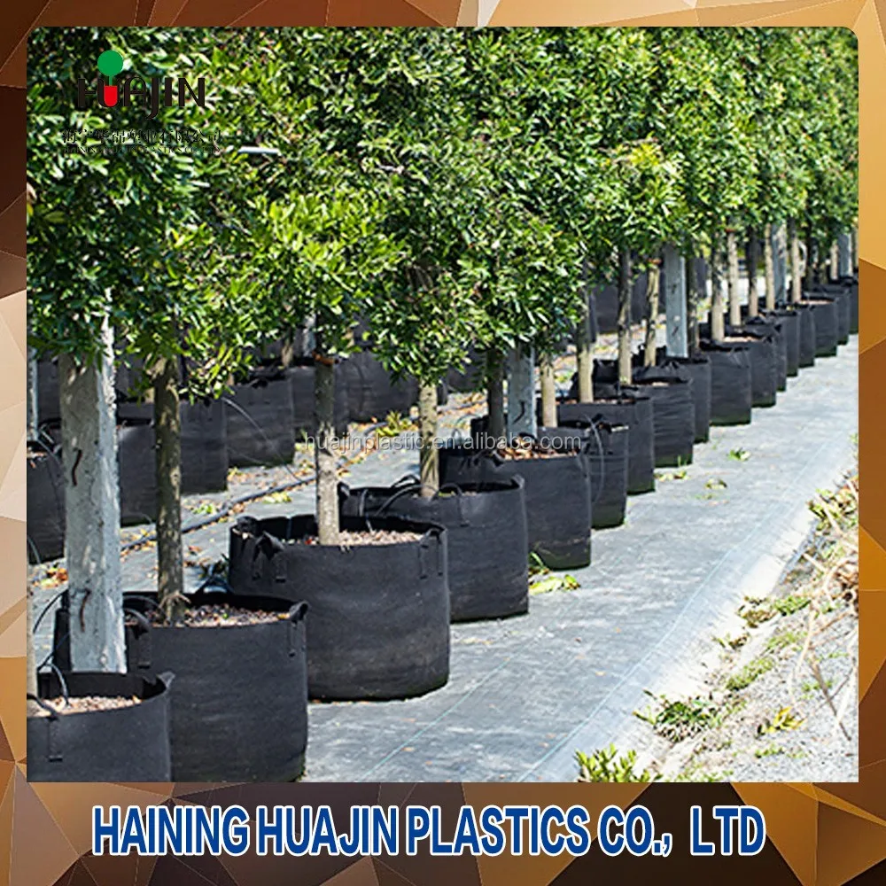 manufacturer garden planter bag Biodegradable grow bag Fabric Pots Grow Bag