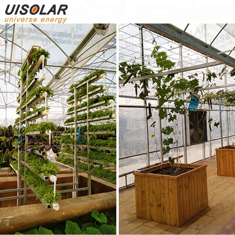 Galvanized steel structure agricultural pe film greenhouse