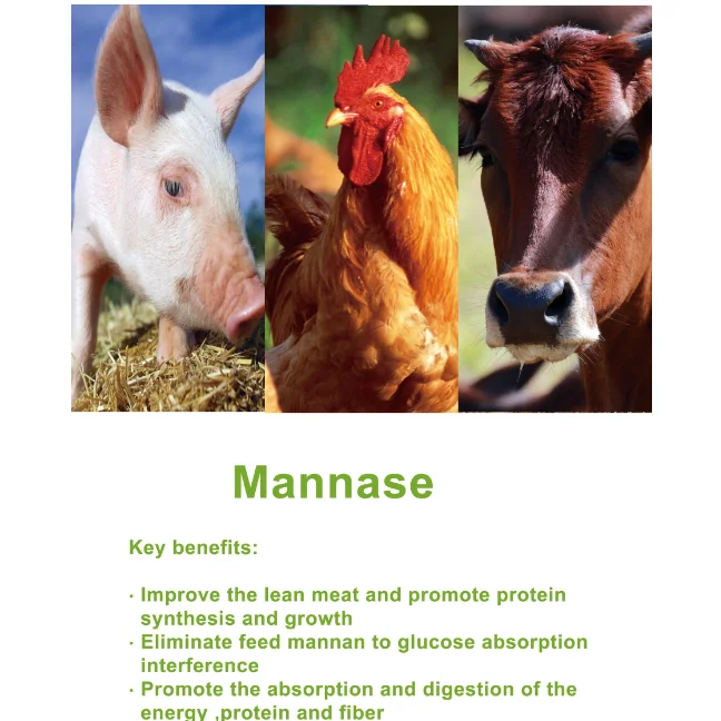 
Feed grade mannase digestive enzyme reducing viscosity to promoting feedstuff 