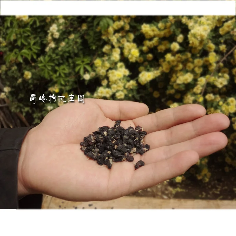 Ningxia hot hei gou qi китайская трава Medecine Gou zi черная Волчья