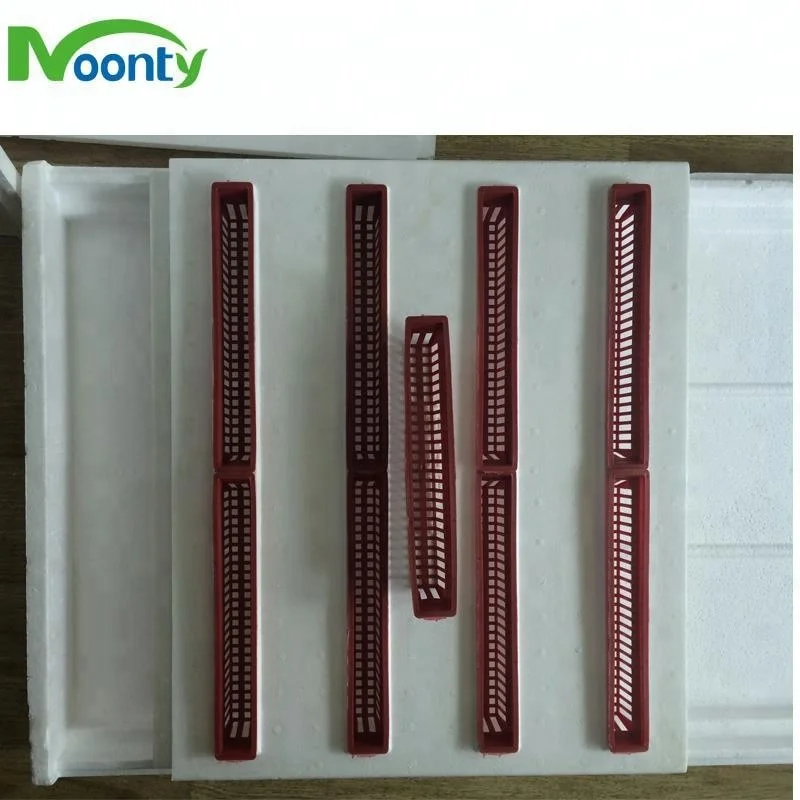 Greenhouse Soilless Planting DFT Hydroponics Growing System Aquaponics Farm
