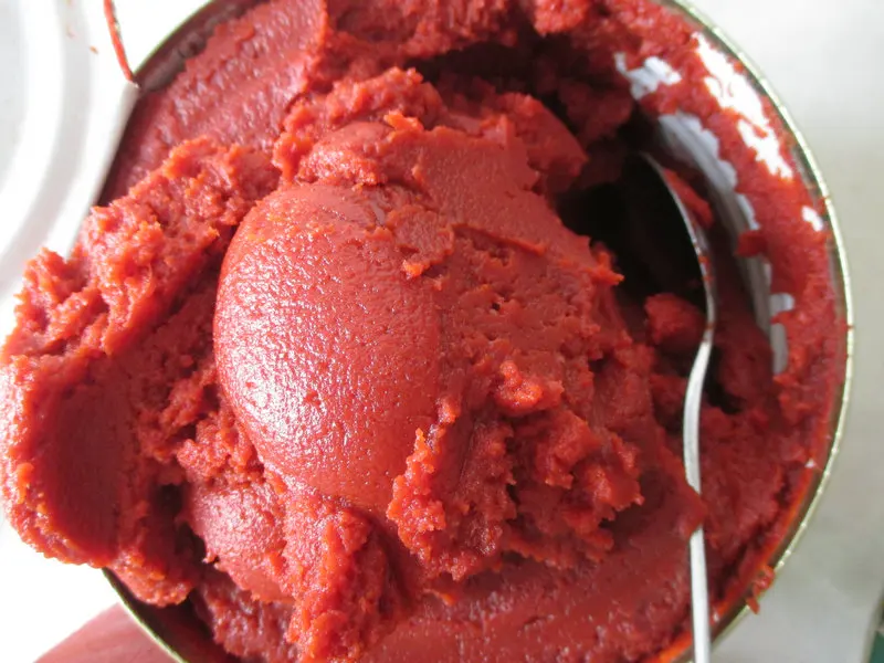 tin tomato paste brix28-30% for turkey from Xinjiang factory