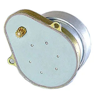 
49Tyj Synchronous Motor 