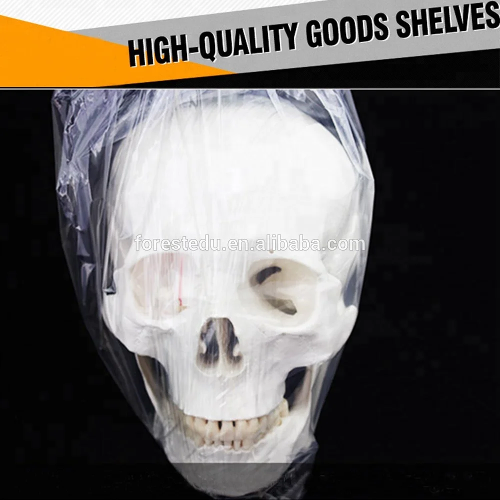 Human Skull Model Life Size 3 Teeth Removable Anatomy 3 Parts Skull Model of Human
