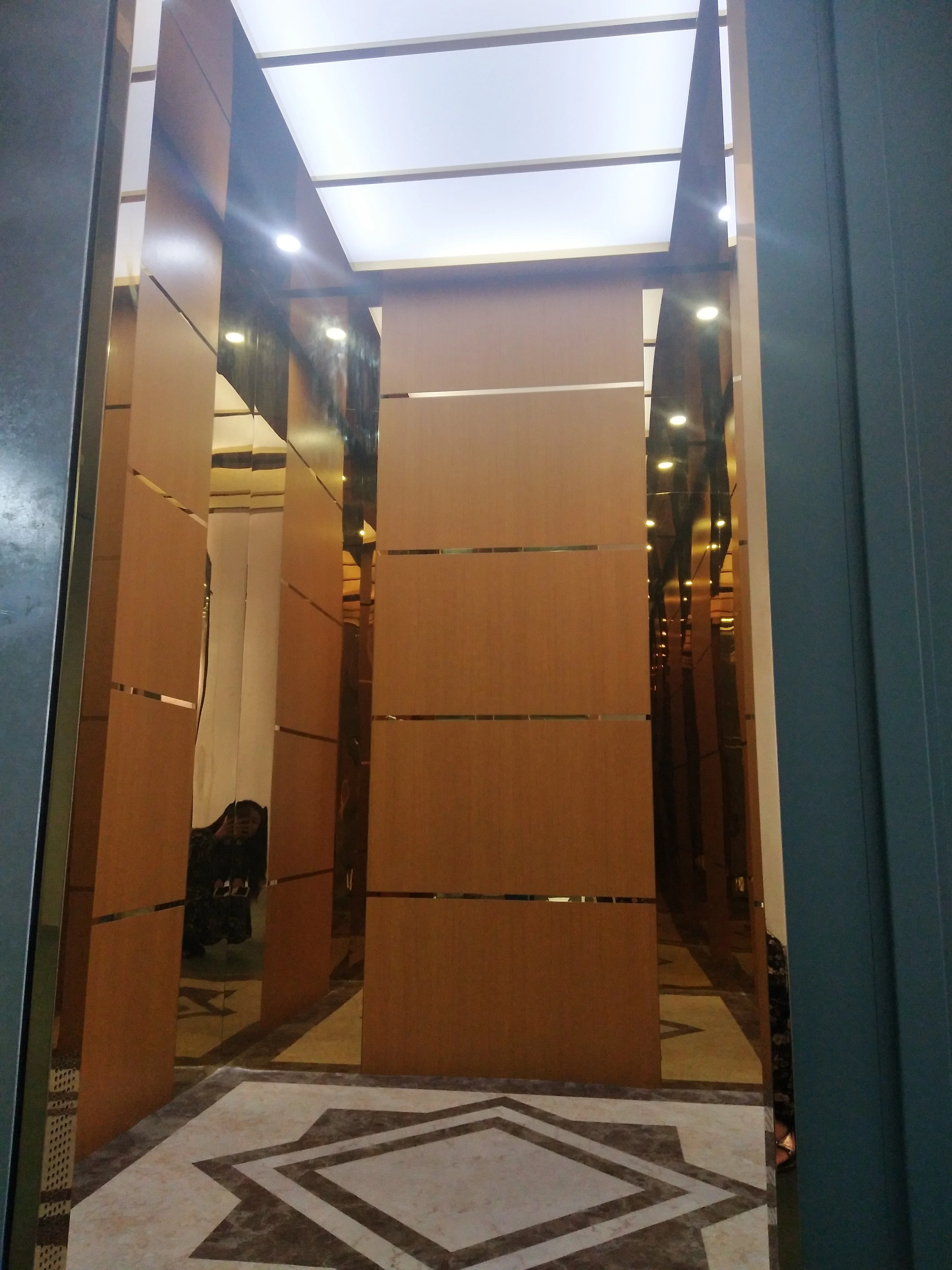 Chinese elevator supplier passenger lift/ elevator factory