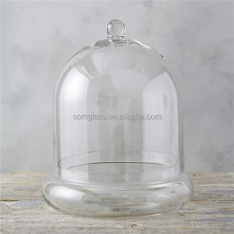 garden dome cloche terrarium glass vase for plants