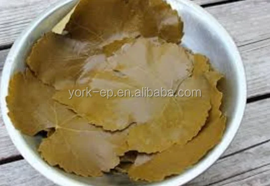 
High quality canned salty vine leaves 