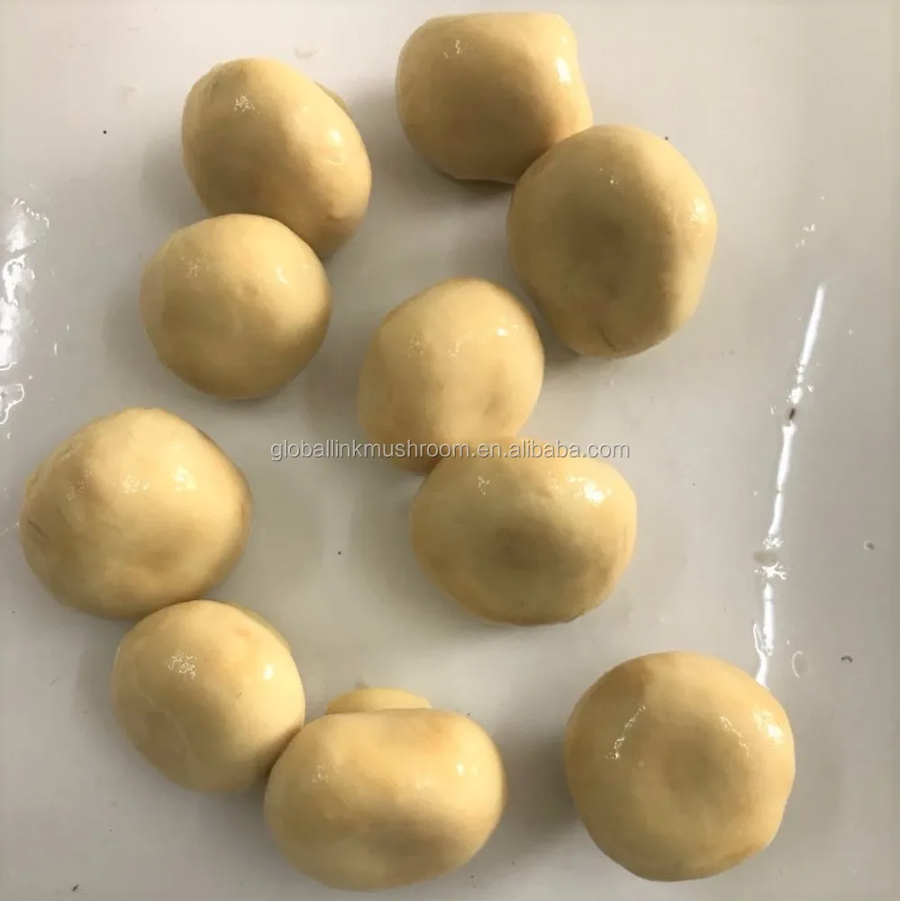 2018 New Crop Canned Button Mushroom Whole Champignon