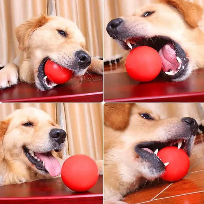 Лидер продаж, жевательный мяч для питомцев, жевательный мяч для тренировок с красной собакой, мяч-подпрыгиватель из термопластичной резины, игрушечные мячи для домашних животных