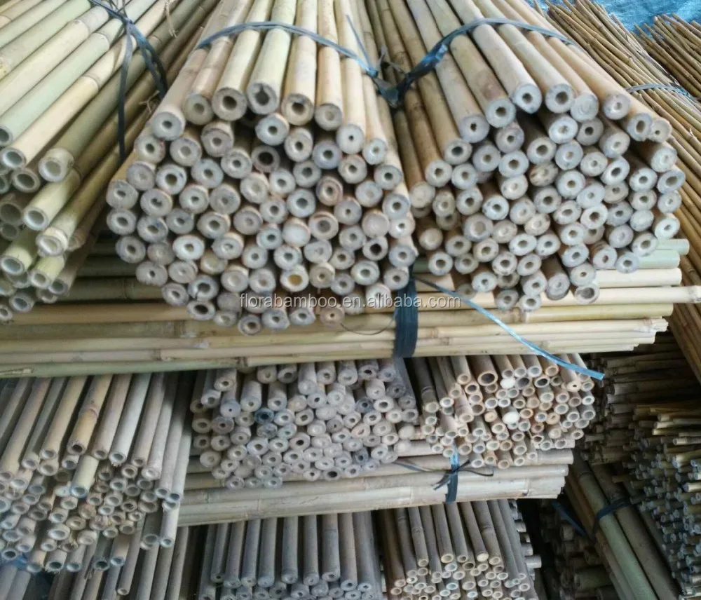 Bamboo pole For Tree Guards,Dia.22-24mm,305cm