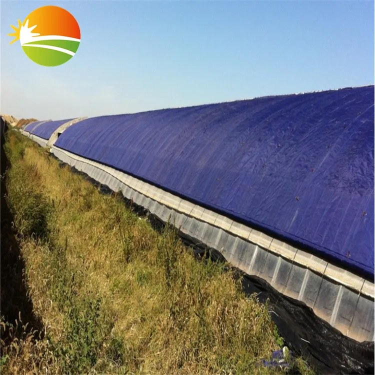 Greenhouse with High Quality Quilt