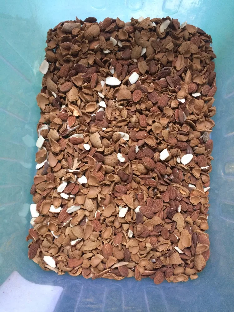 Automatic Ccd Color Sorter For Cashew Nut Apricot Kernels Walnut,Almond Processing Machines