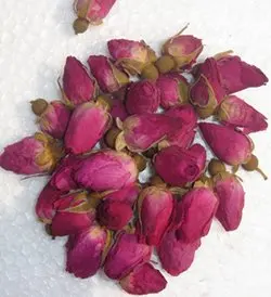 
Rose bud Rose flower mei gui hua 