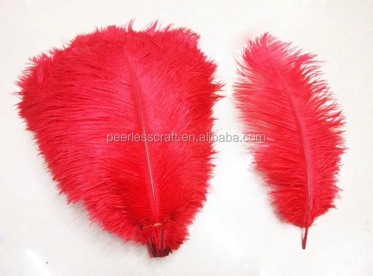 Оптовая Продажа Цветных больших страусиных перьев FC429