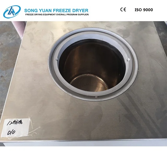 
small mini lab freeze dryer with low price China Vacuum lyophilizer LGJ-18C for fruit vegetables 