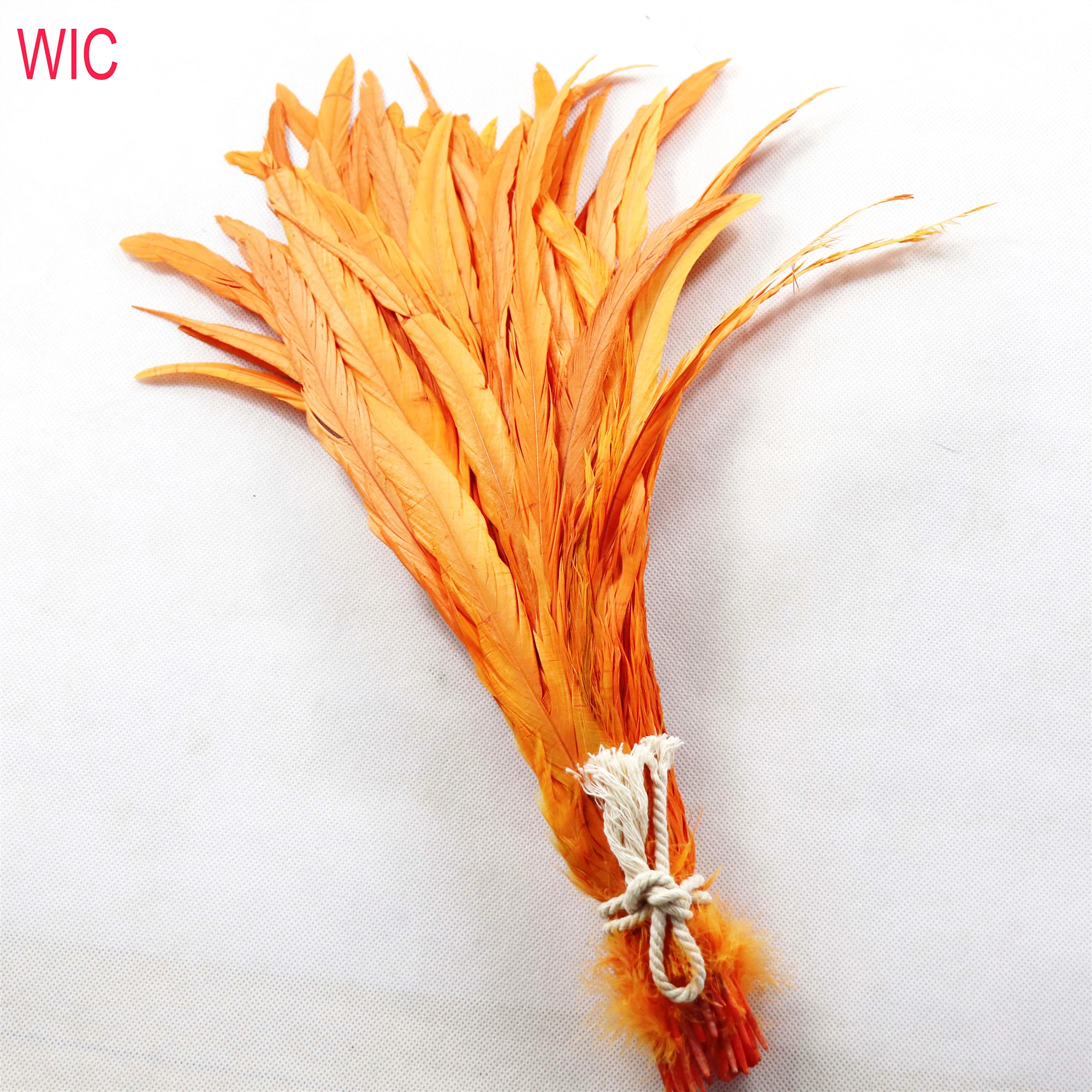 Cheap Wholesale Dyed Fashion Rooster Tail Feather Color Long Cock Chicken Feather for Carnival Costumes