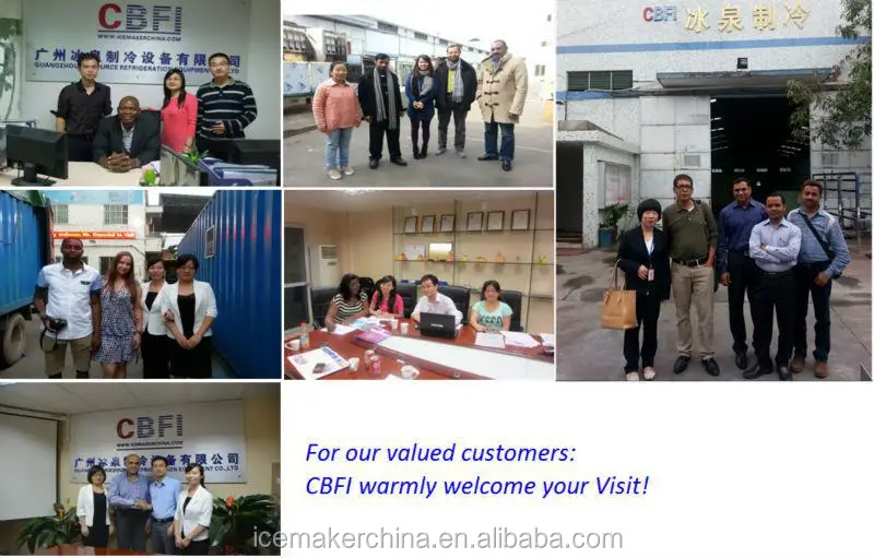 ice brick making machine production line in Demark