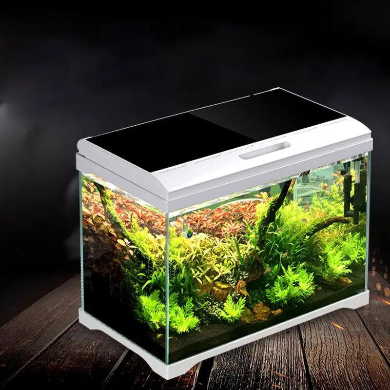 Wholesale Home Decoration Fish Breeding Tank Mini Glass Tank Fish Aquarium Ecological Aquarium Accessories