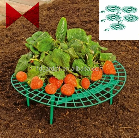 
strawberry support ,plant support 