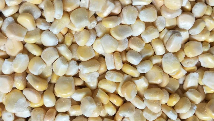 
Frozen Bulk Sweet Organic Corn Specification 