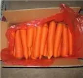 
Chinese fresh carrot from China 