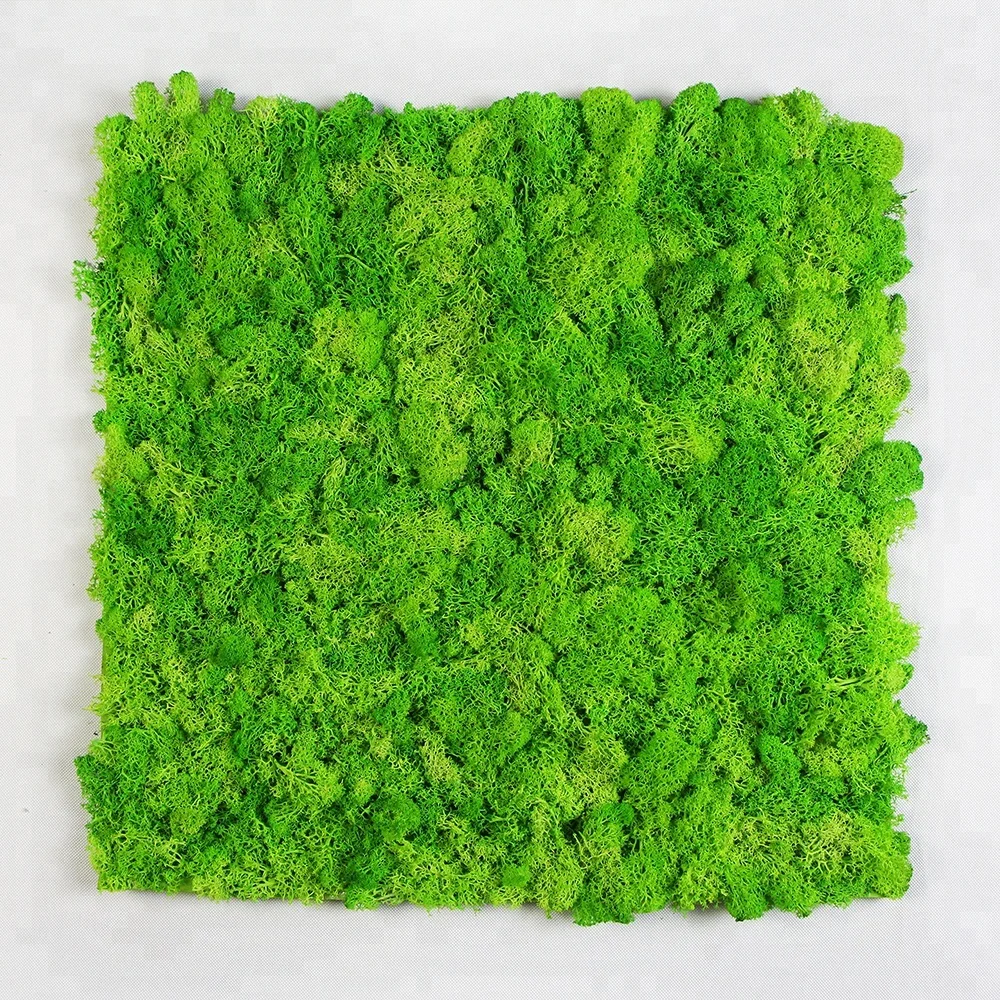 New products custom preserved reindeer outdoor artificial moss grass wall for decoration