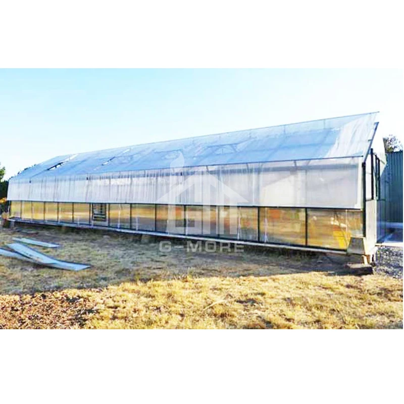 
Guangzhou Modular Greenhouse Polycarbonate Kit for Sale 