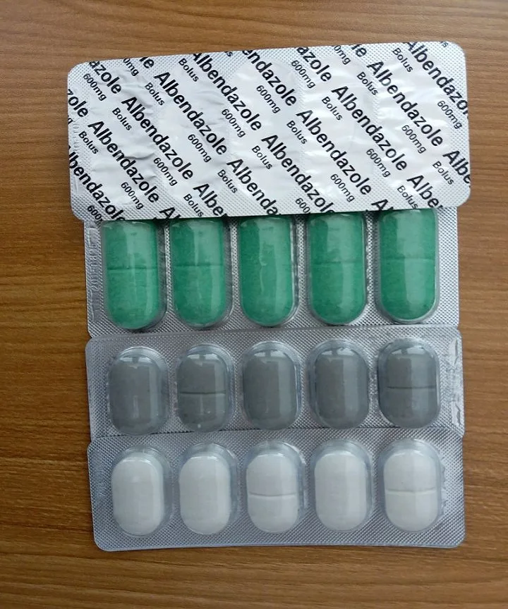 
Dewormer Albendazole bolus 4g 6g from China Manufacturer 