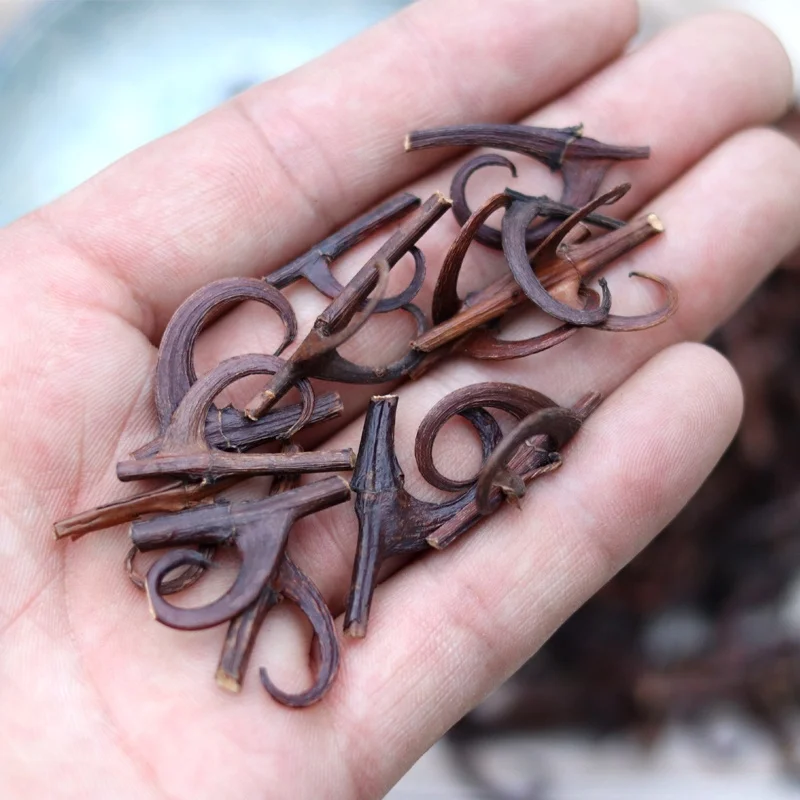 Factory Supply Plant Extract Raw Material Uncaria Gambir Tomentosa Extract