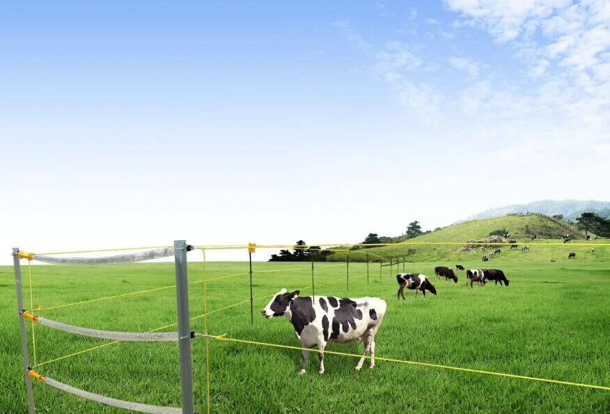 2015 Hot Sale Electric Poultry equipments, Portable Power fence system, Solar Panel Electric Fence Energizer from China