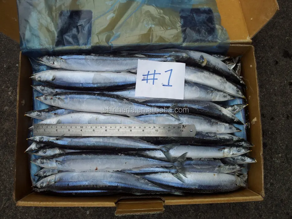 
Taiwan Frozen Pacific Saury #1 No.1 