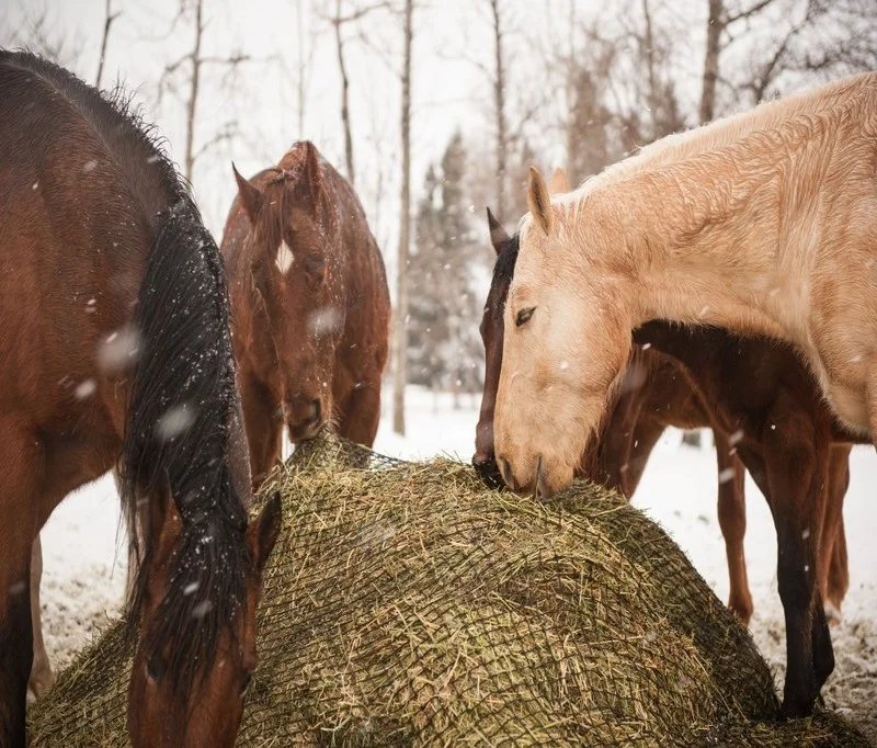 2019 горячая распродажа, высокое качество, индивидуальные круглые мешки для тюков, сетка, круглая кормушка для тюков, сетка для продажи