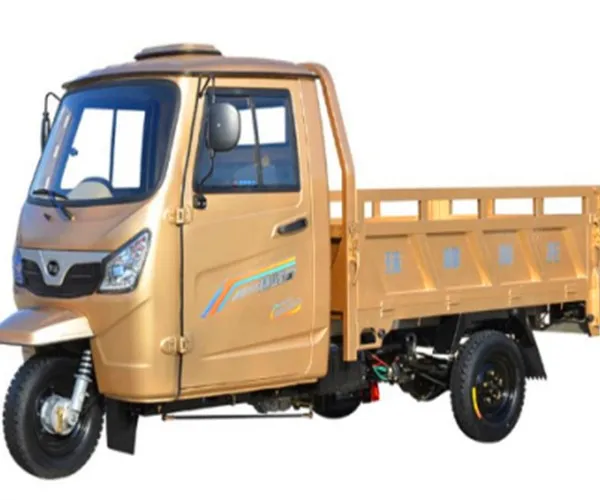 Chinese factory Foreign trade export new Semi Closed Carry cheap cargo tricycles for adults