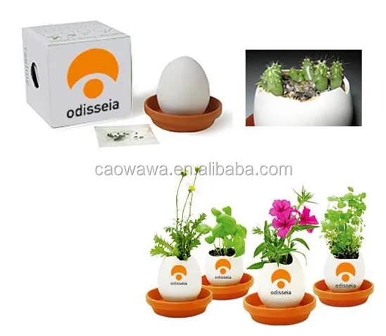 Яичное мини-растение. Яичный цветок. Терракотовое мини цветочное яйцо