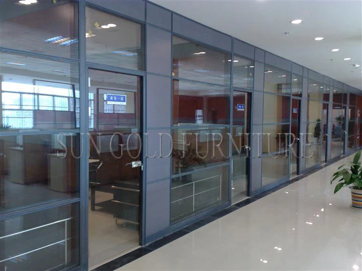 Luxury Black Frame Types of Glass Wall Widely Used Office Room Dividers (SZ-WS572)