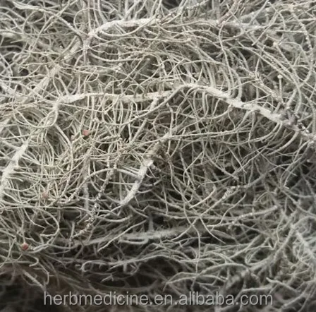 
Dried wild natural Usnea diffracta Vain whole parts 
