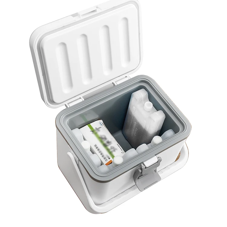 
4.5L Portable Picnic Beer Can Ice Cooling Box Plastic Mini non-Medical Cooler Box with Shoulder Strap 