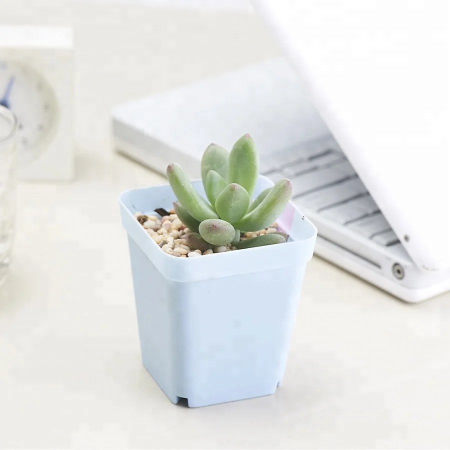 Colorful Square Plastic Plant Pot