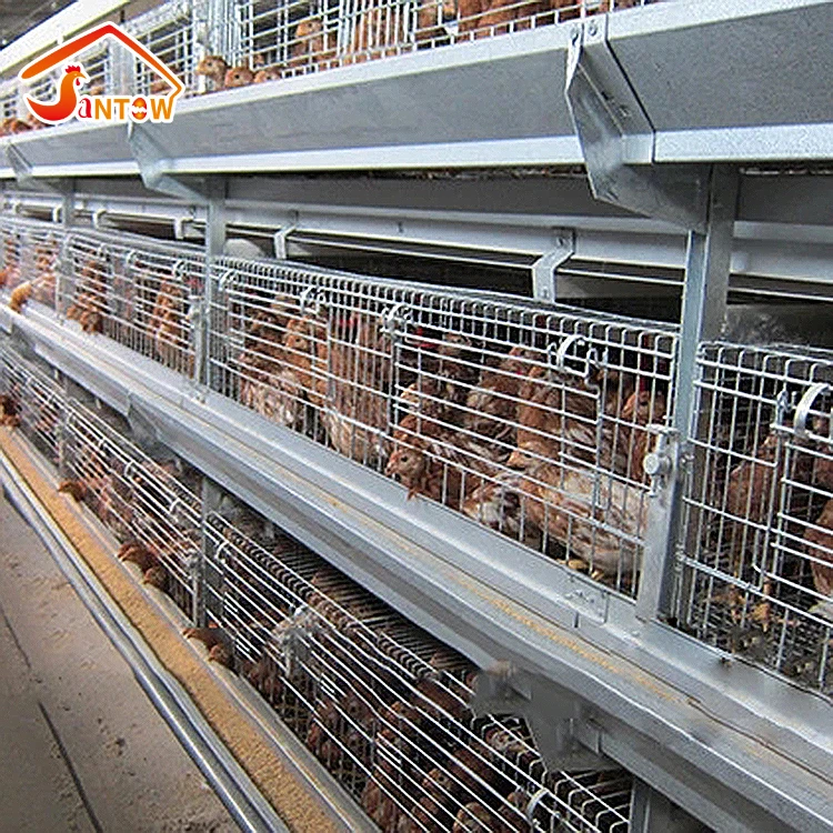 Layer Cage Assembling Tools Layer Chicken Cage For Live Chicken large scale chicken farms for bv 380 of germany
