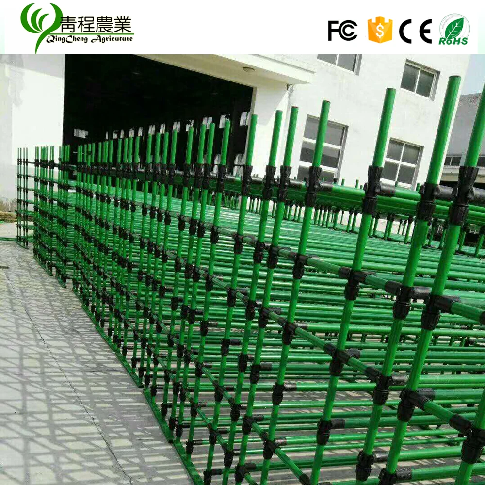 mushroom growing shelves greenhouse for sale