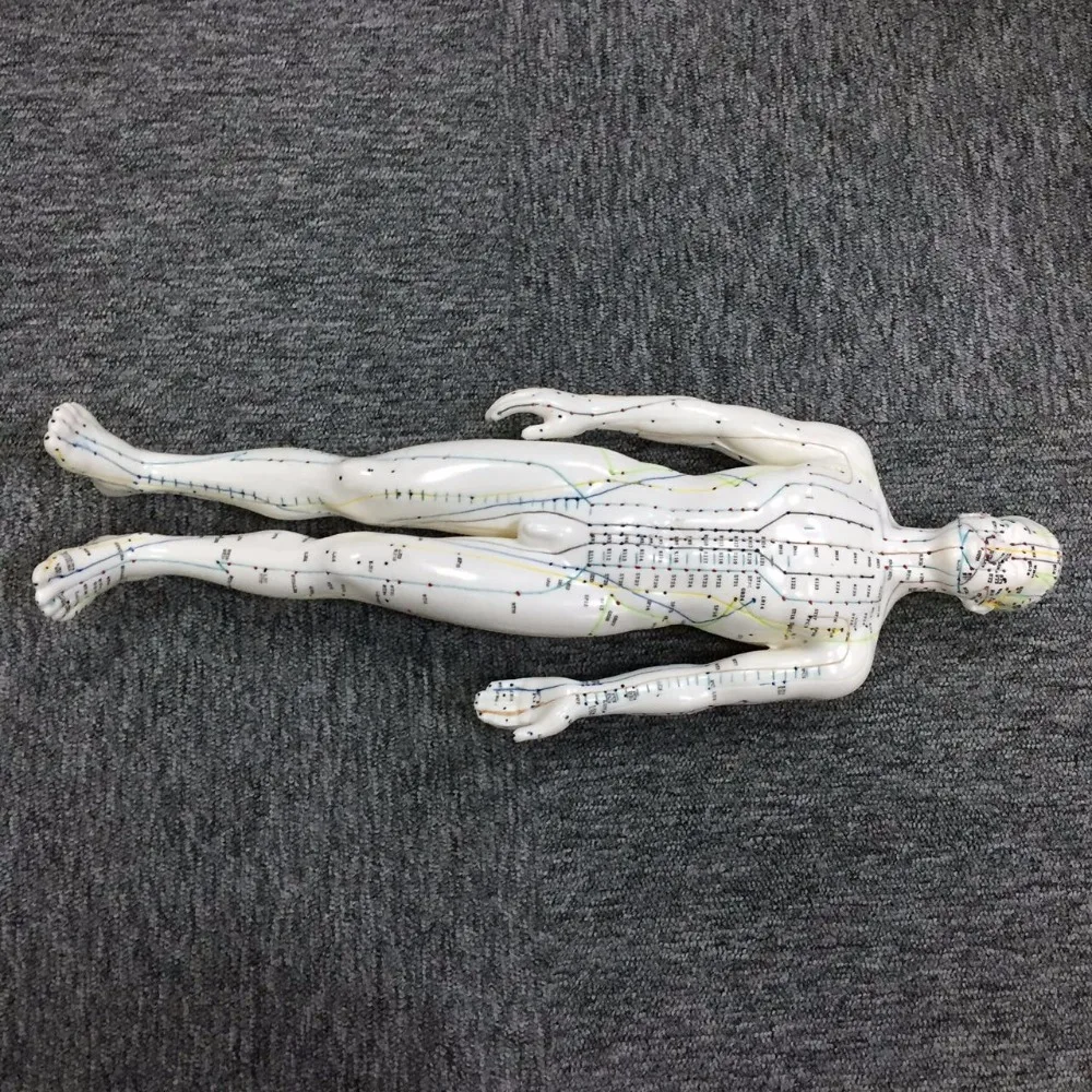 
26cm Female Acupuncture model 
