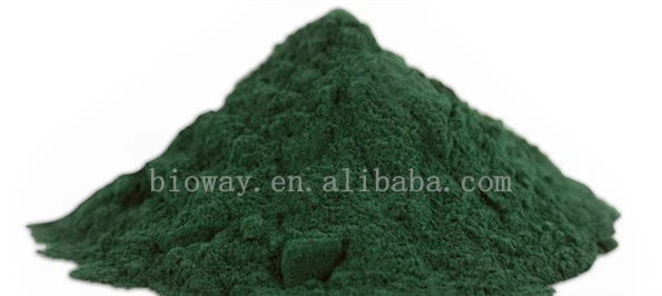 
Bulk Wholesale Blue Organic Spirulina Powder 