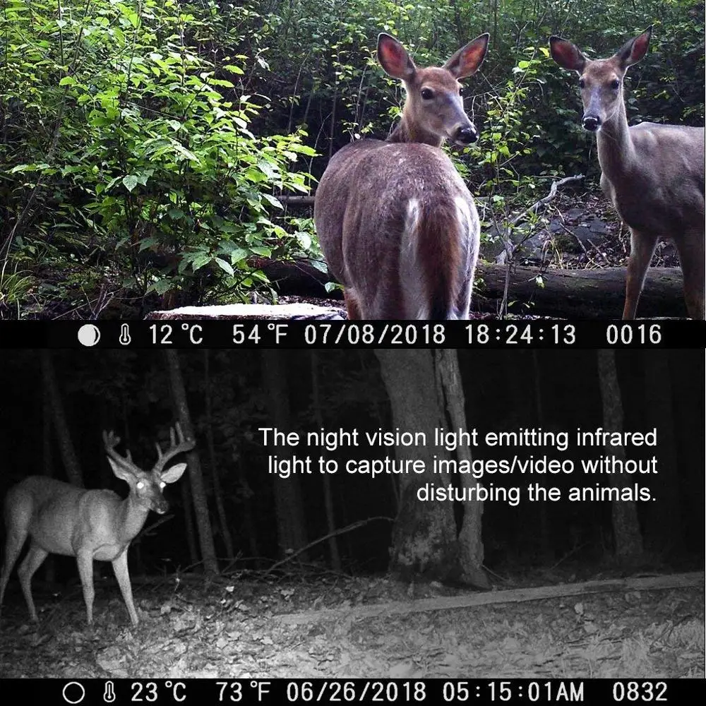 Competitive 12MP 1080HD Trail Camera Night Vision with Upgrade Waterproof Design 27Pcs IR LEDs No Glow for Wildlife