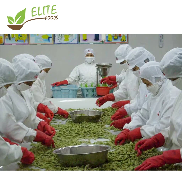 
IQF frozen bulk edamame beans frozen soybean frozen edamame beans new crop 