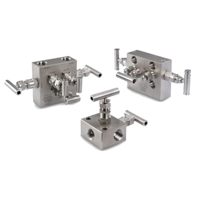 2way manifold 2-port pressure test manifold