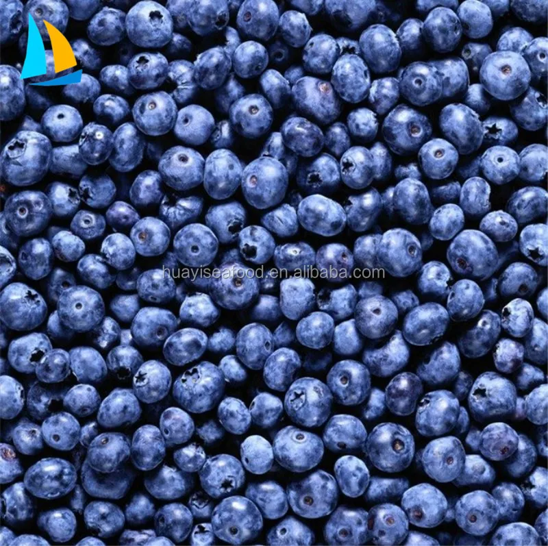 IQF Frozen Blueberry Export Price